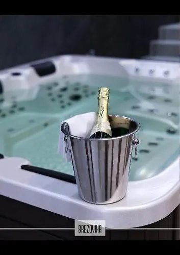 Apartmanbrezovina217 Apartment *