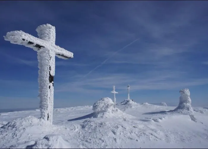 Apartment Apartmanbrezovina217